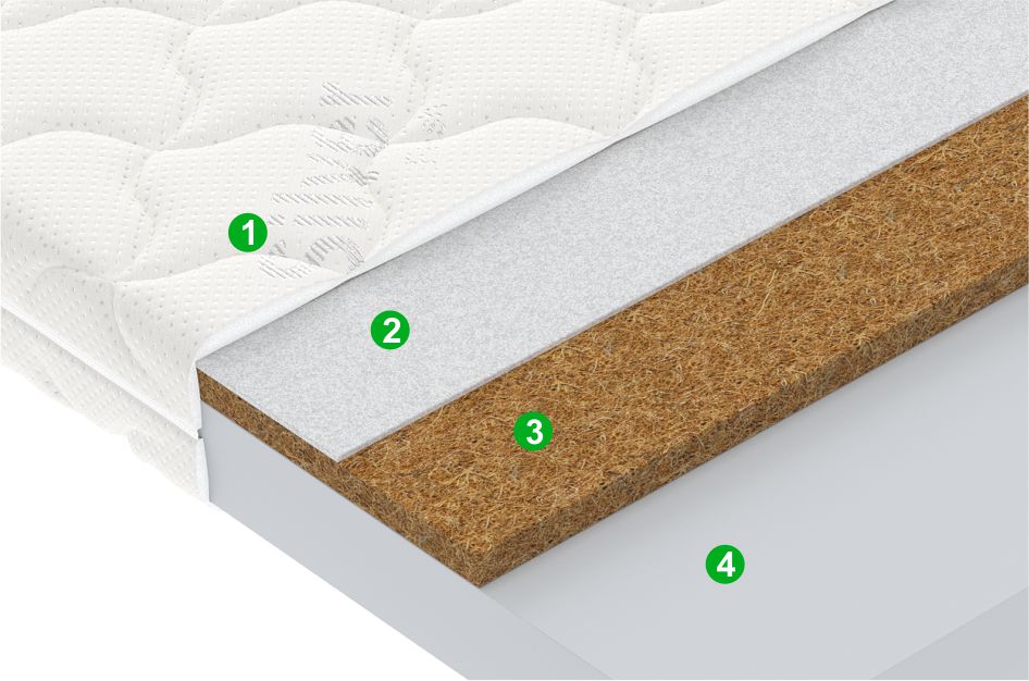 Juno Splash Juno Splash